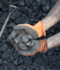 Coal & Coke Analysis